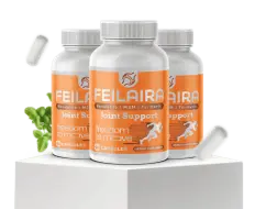 feilaira-logo